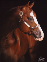 Te Tyme Zip - World Class Champion Sorrel Stallion
